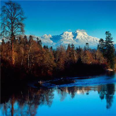 金年会手机app官方下载