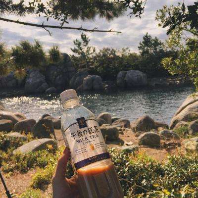 云平台appapp下载