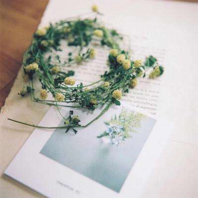 云平台appapp下载