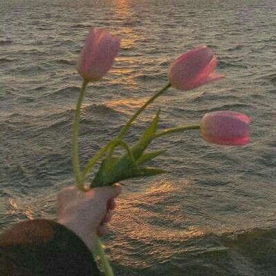 威尼斯澳门人(亚洲)第一品牌