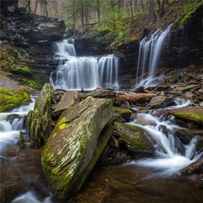 乐鱼app下载下载手机版