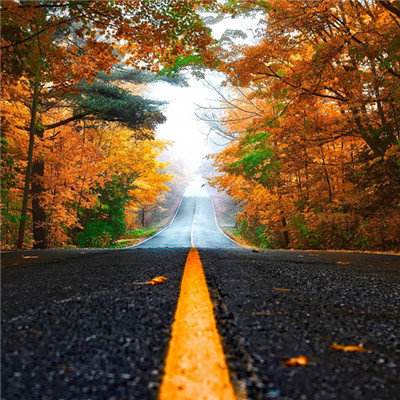 米乐网下载手机版