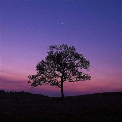 皇冠官网app下载安装