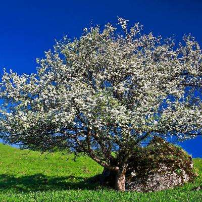 九游会AG手机app下载