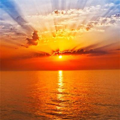 乐鱼官网手机版手机app下载